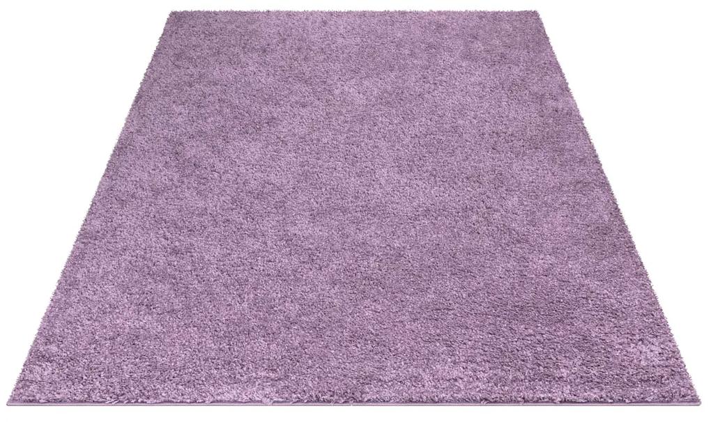 Dekorstudio Shaggy koberec CITY 500 fialový Rozmer koberca: 200x290cm