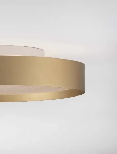 LED stmievateľné zlaté moderné stropné svietidlo Roi 40