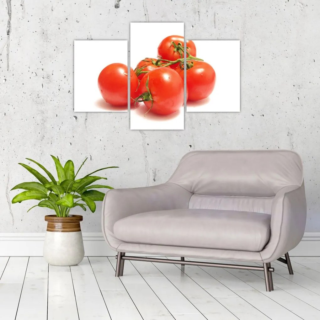 Paradajky - obraz