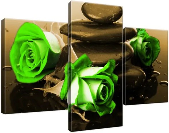 Obraz na plátne Zelené ruže a kamene 90x60cm 1423A_3B