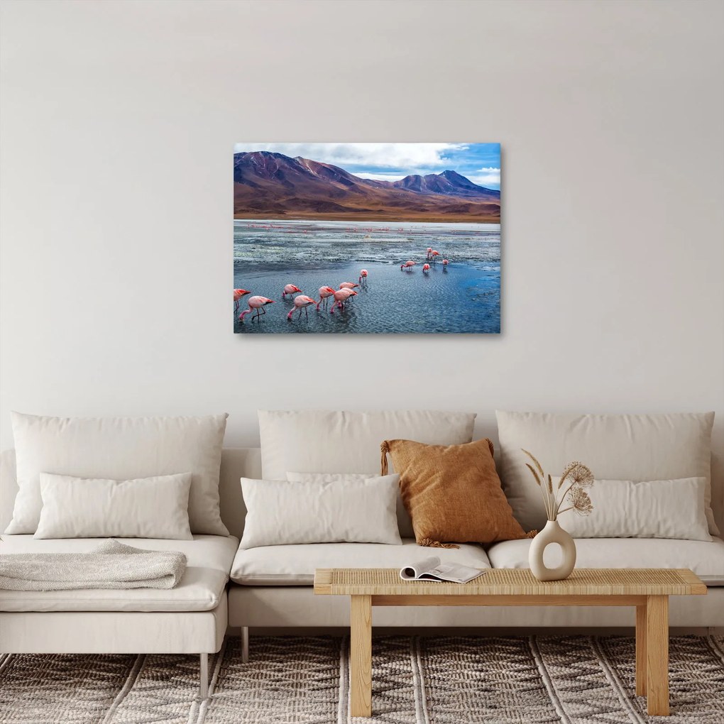 Obraz - Plameniaky (70x50 cm)