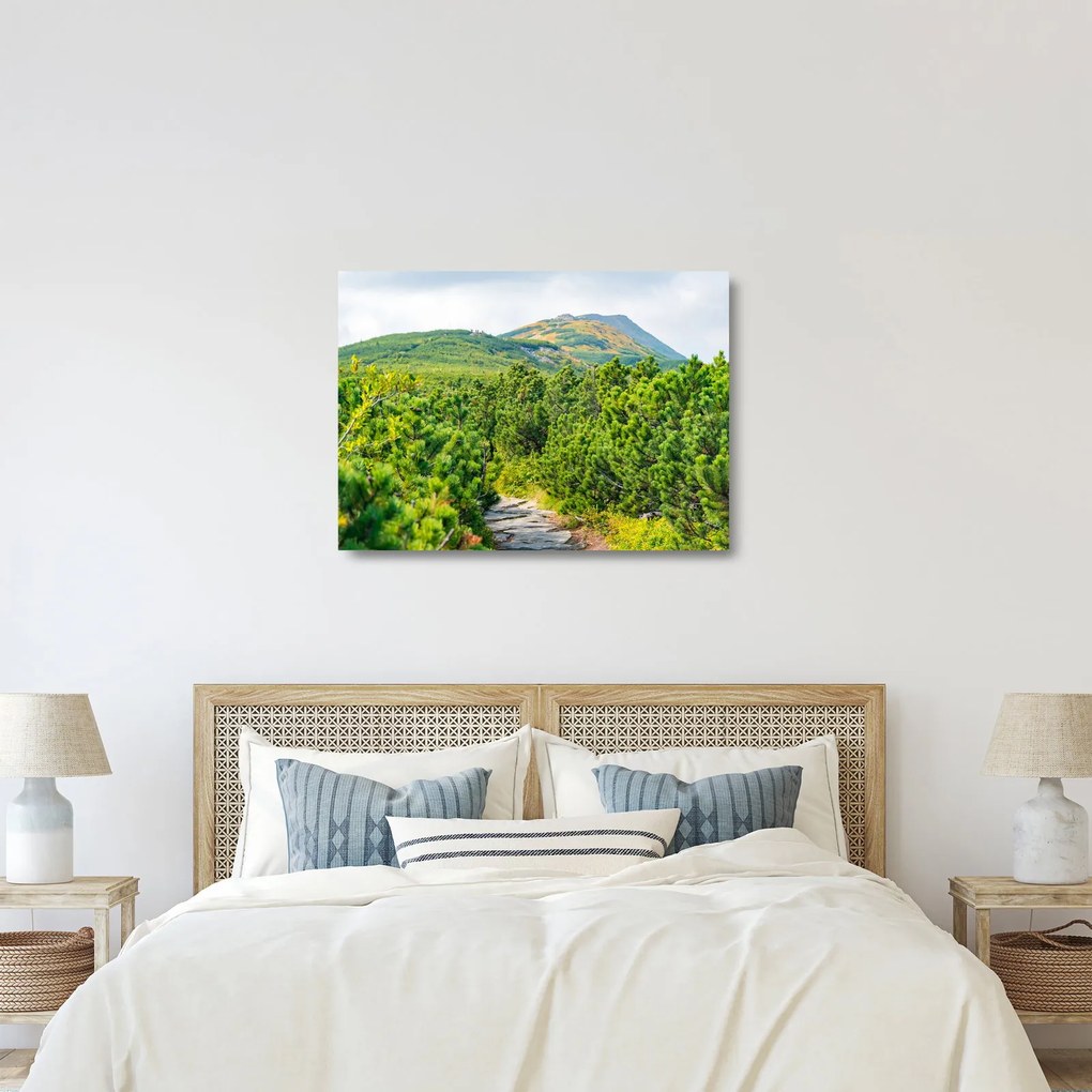 Sklenený obraz - Babi Hora, Poľsko (70x50 cm)