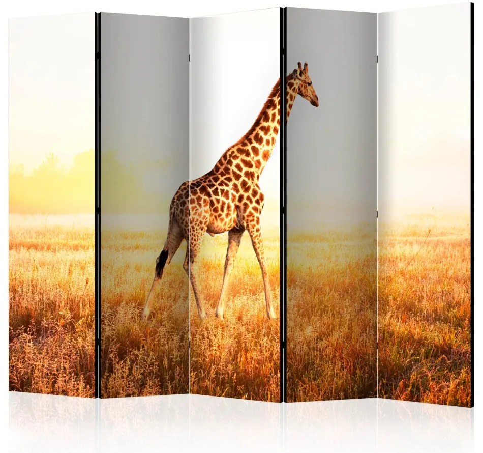 Artgeist Paraván - giraffe - walk [Room Dividers]