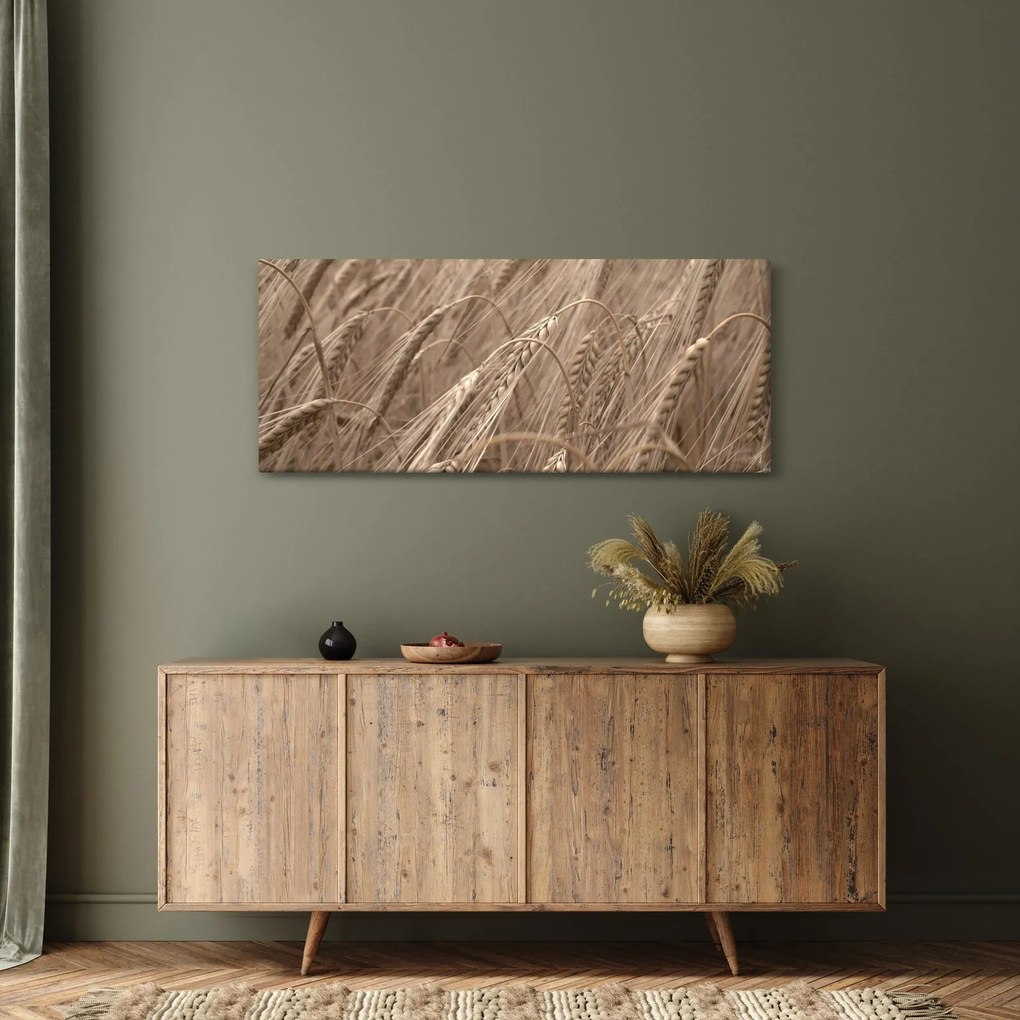 Obraz - Zlaté pole (120x50 cm)