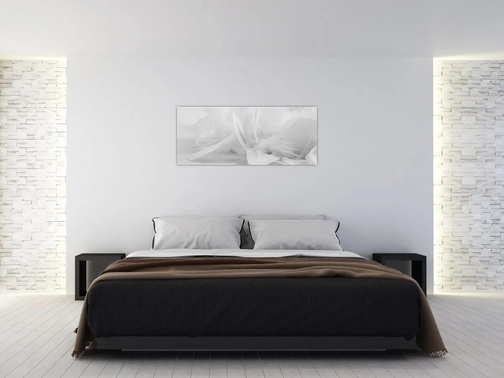 Obraz - Perie (120x50 cm)