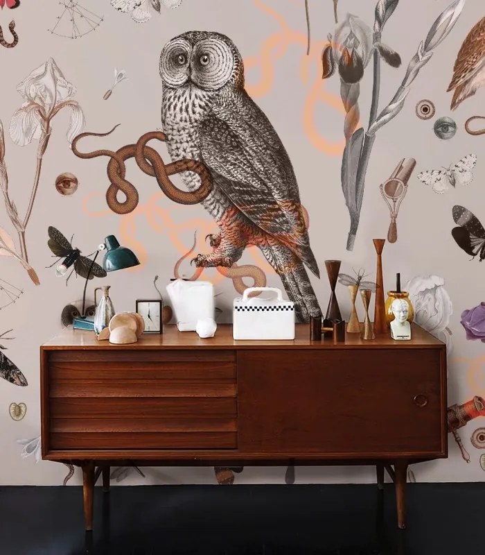 WALLCOLORS Pink Owls wallpaper - tapeta POVRCH: Prowall Concrete