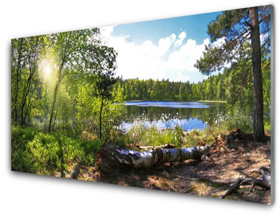Skleneny obraz Les stromy jazero príroda 100x50 cm