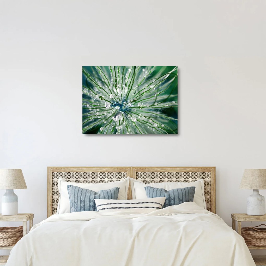 Sklenený obraz - Makro snímka kvetu (70x50 cm)
