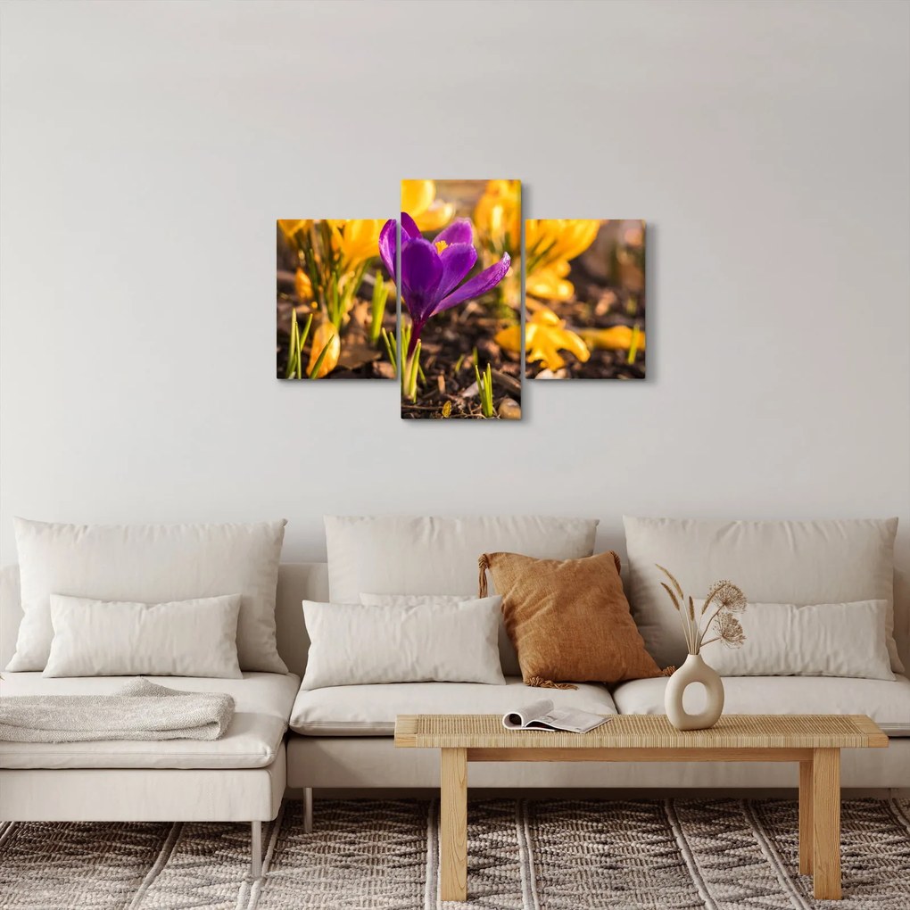 Obraz fialovej kvetiny (90x60 cm)