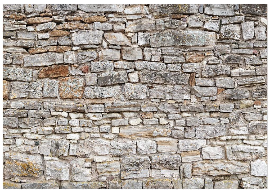 Artgeist Fototapeta - Royal Wall Veľkosť: 350x245, Verzia: Standard
