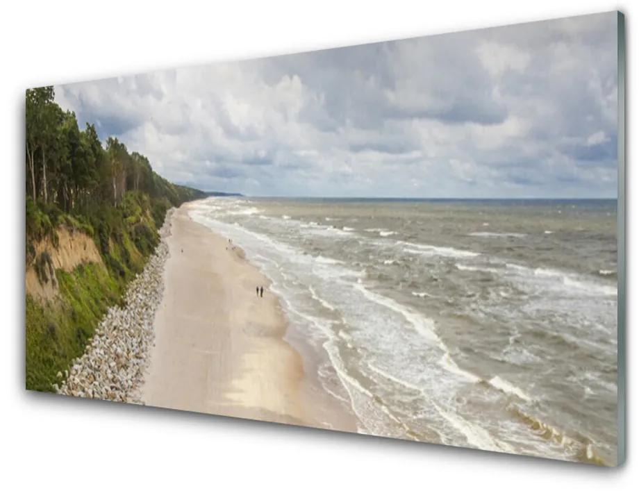 Obraz na skle Pláž more strom príroda 100x50 cm