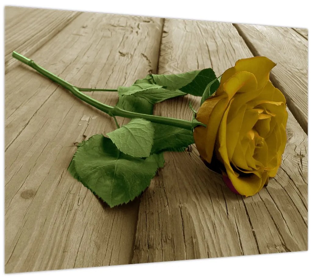Sklenený obraz - Žltá ruža vintage (70x50 cm)
