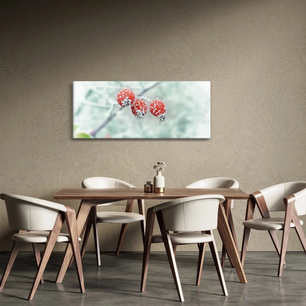 Obraz zmrznutých šípok (120x50 cm)