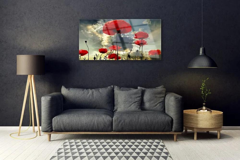 Obraz plexi Maky kvety príroda 100x50 cm