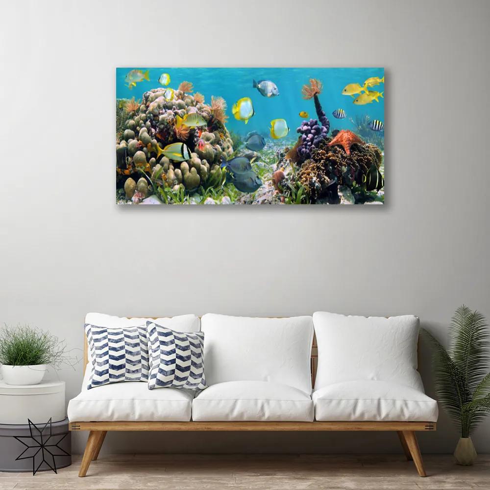 Obraz na plátne Koralový útes príroda 120x60 cm