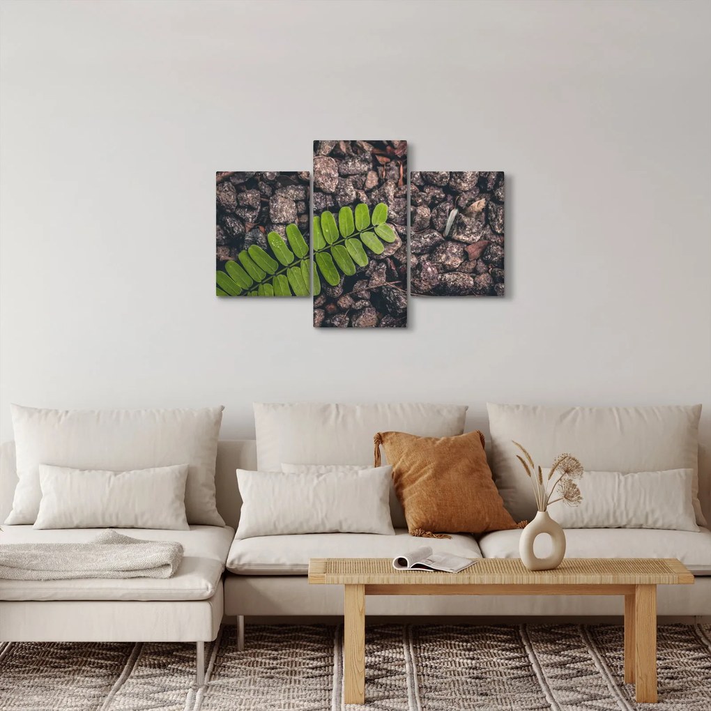 Obraz zelenej rastliny (90x60 cm)