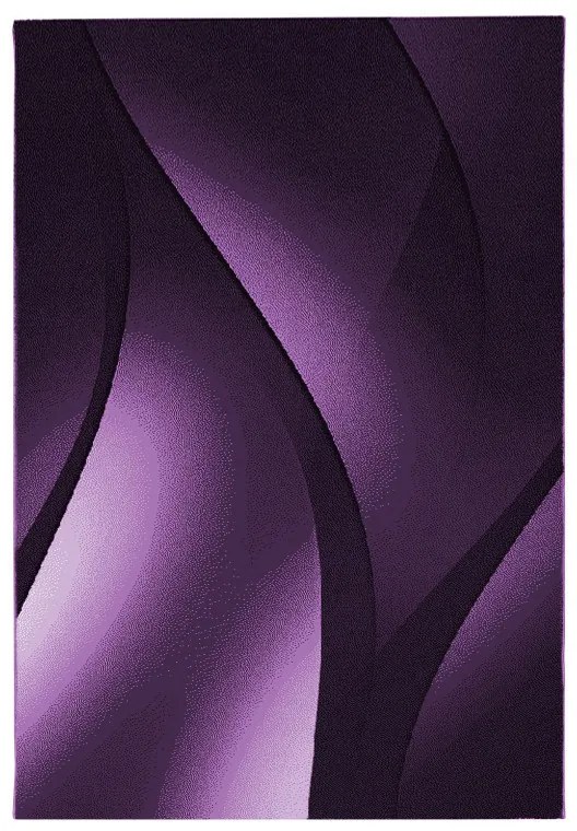 Ayyildiz, Kusový koberec Plus 8010 lila, 80x300, fialová, obývacia izba