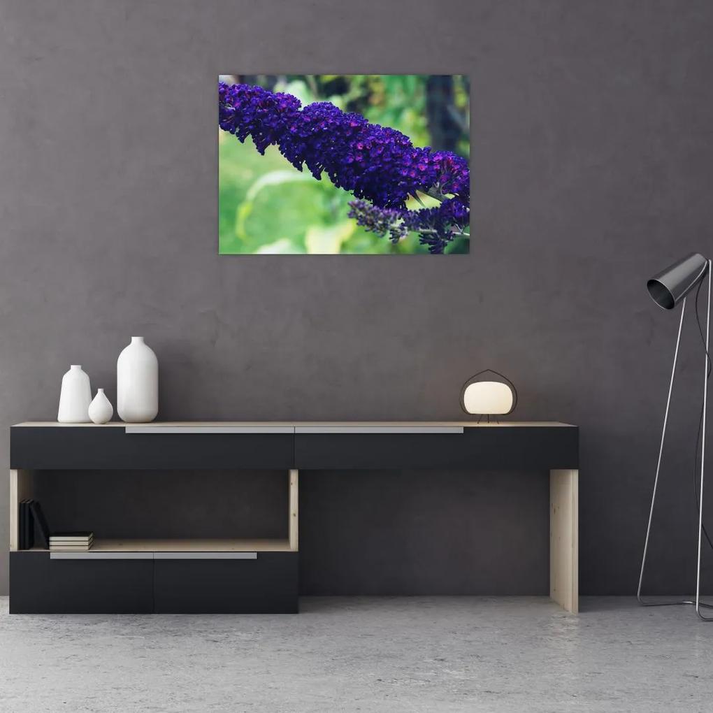 Sklenený obraz modrej kvetiny (70x50 cm)