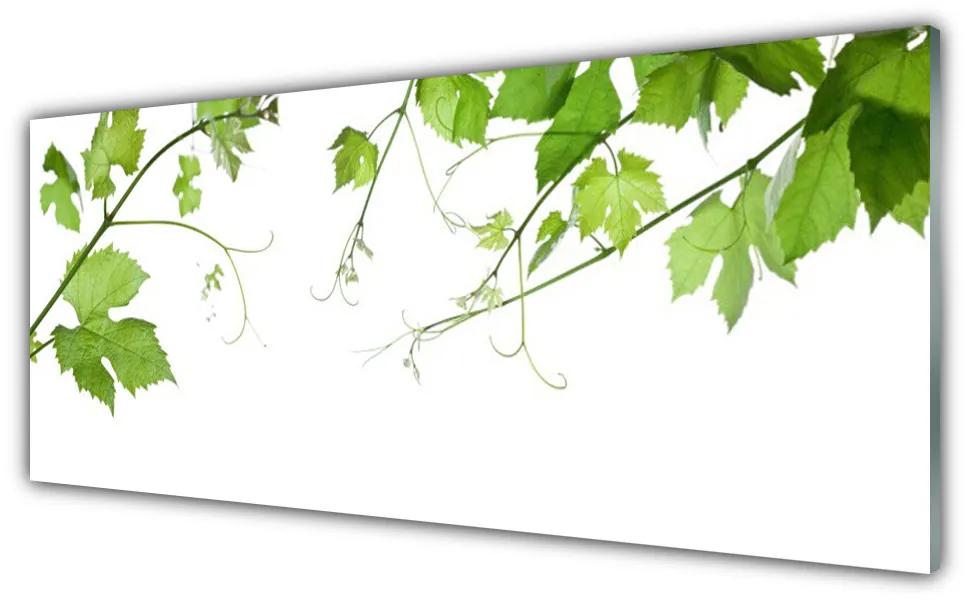 Obraz plexi Vetvy listy príroda kvety 125x50 cm