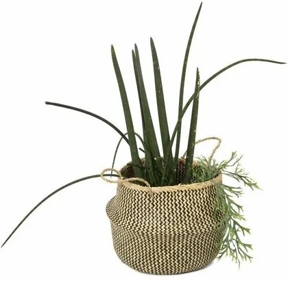 Compactor Pletený úložný košík z morskej trávy Belly, 45 x 36 cm, čierna, L