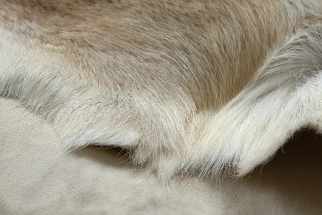 Koberec RENIFER POK016 hnedý / béžový