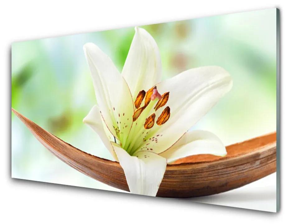 Obraz plexi Kvet rastlina príroda 140x70 cm