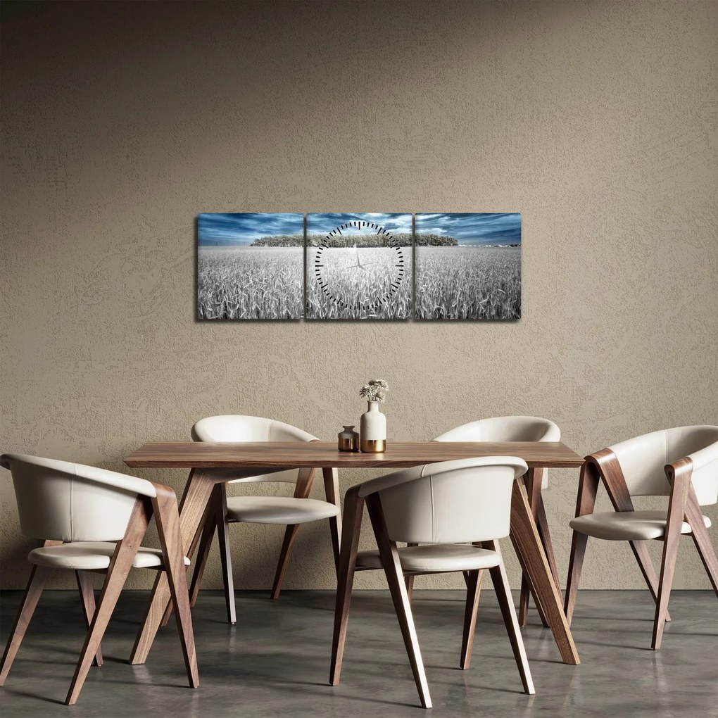 Obraz pole (s hodinami) (90x30 cm)