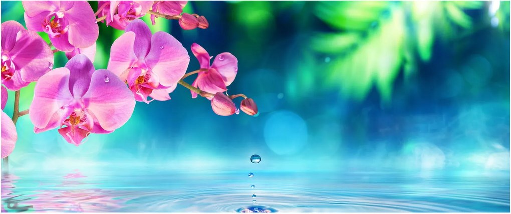 Obraz - Orchidea (120x50 cm)