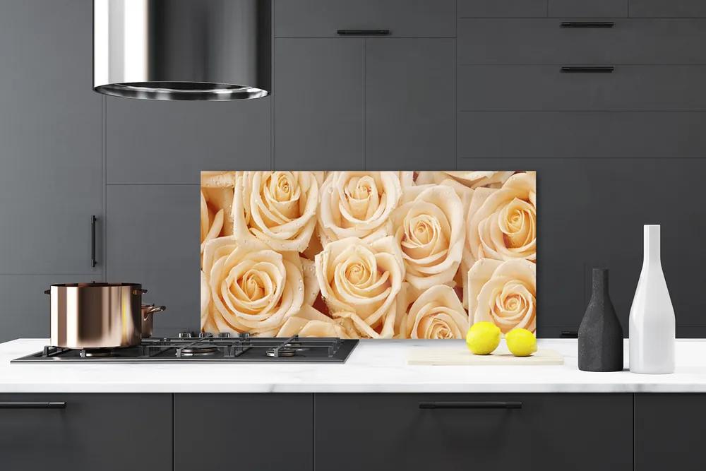 Nástenný panel  Ruže kvety rastlina 120x60 cm