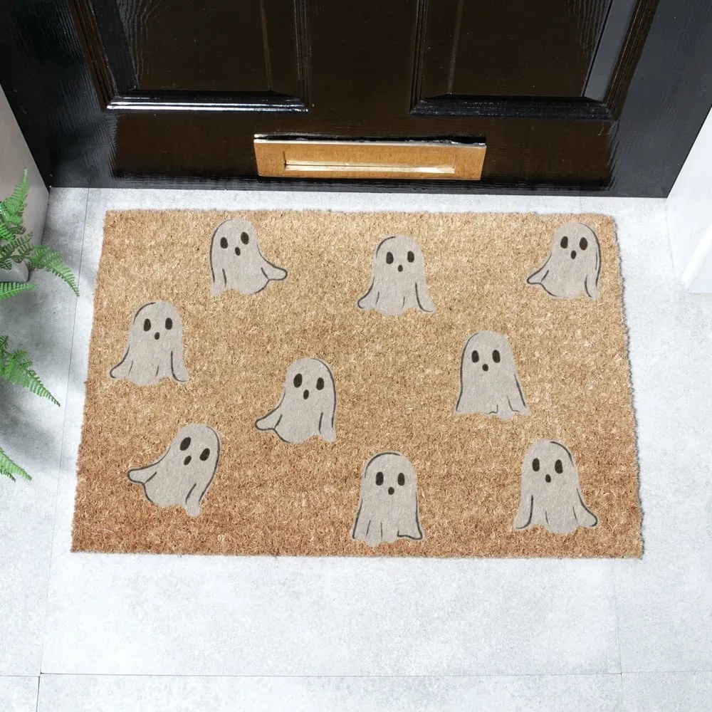 Rohožka z kokosového vlákna 40x60 cm Ghost – Artsy Doormats