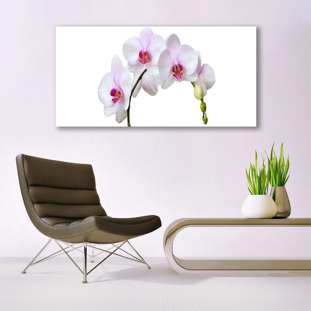 Obraz plexi Vstavač orchidea kvety 120x60 cm