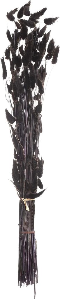 Kytica fúkačiek 60cm dark brown