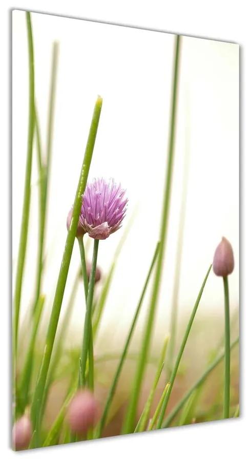 Foto obraz akrylový Kvet pažítky pl-oa-70x140-f-146011215