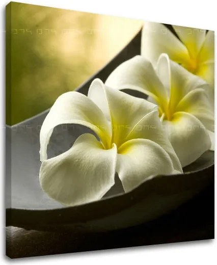 Obraz na stenu FENG SHUI FS031E12