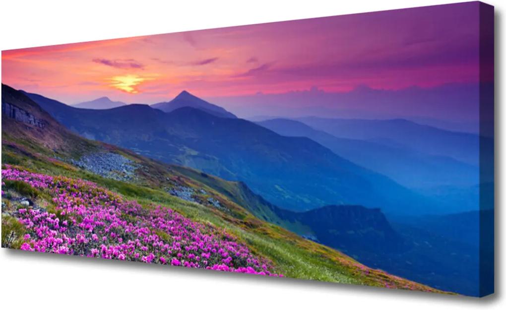 Obraz na plátně Hory Lúka Kvety Príroda