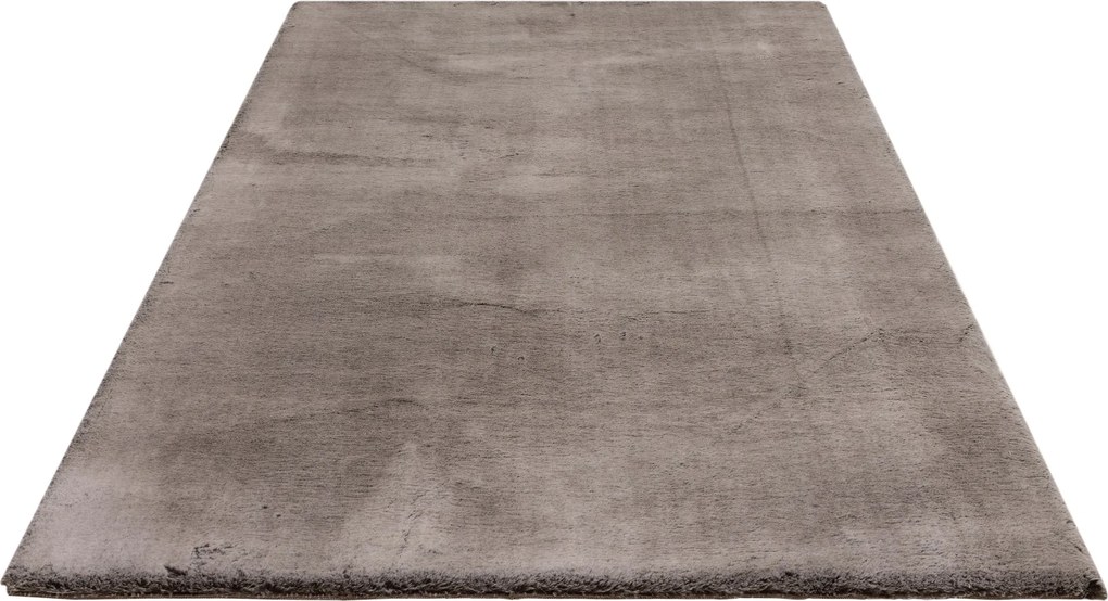 Kusový koberec Eternity 500 Wallnuss, 160x230, šedá, obývacia izba, Obsession