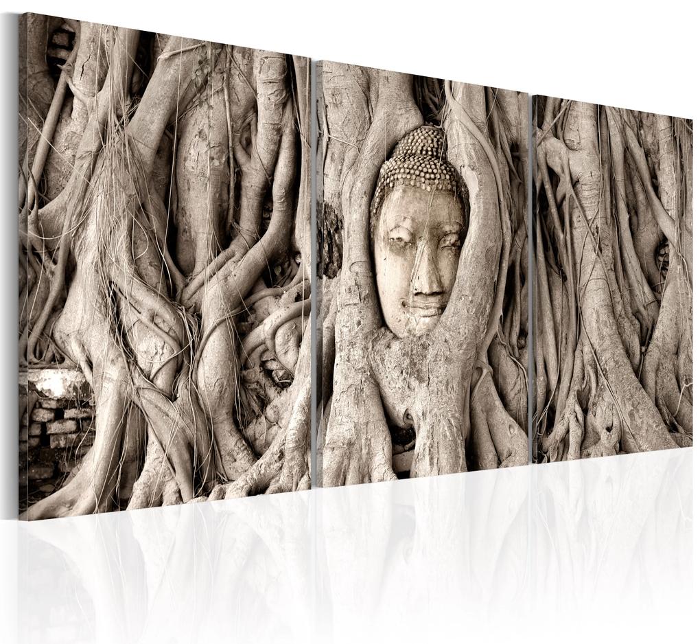 Artgeist Obraz - Meditation's Tree Veľkosť: 120x60, Verzia: Standard