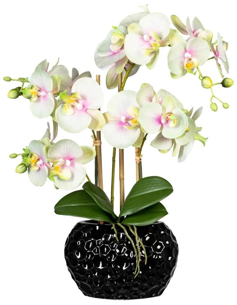 Gasper Umelý kvet Orchidea 55 cm, krémovo zelená