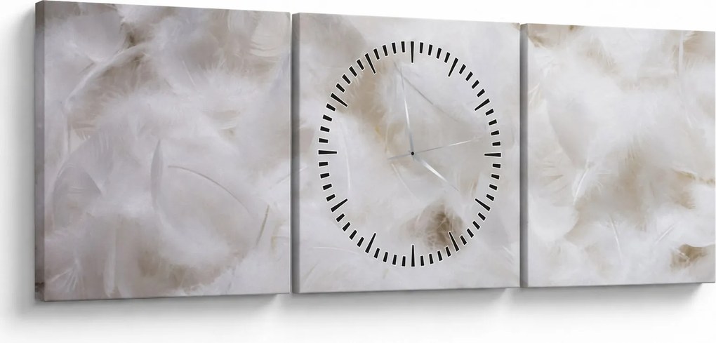 Obraz - Biele perie (s hodinami) (90x30 cm)