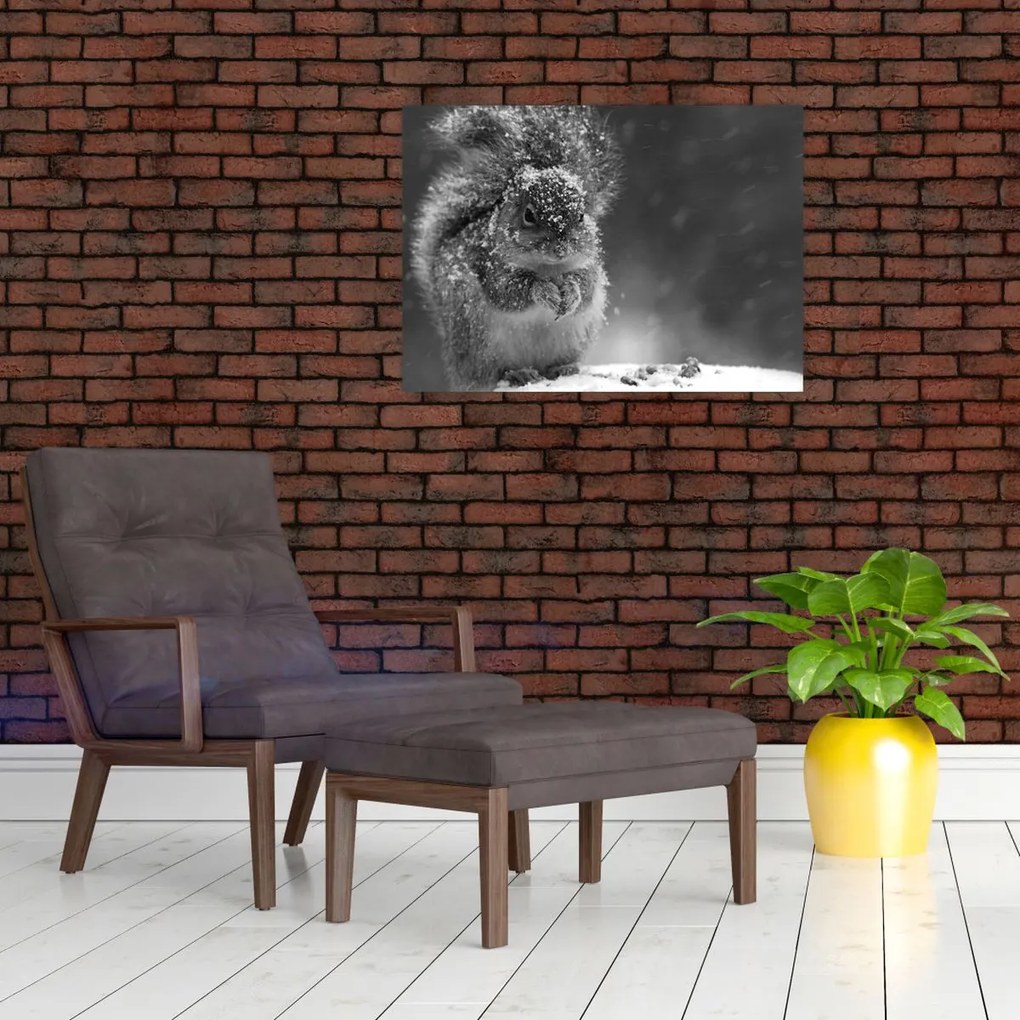 Sklenený obraz - Veverička v zime (70x50 cm)