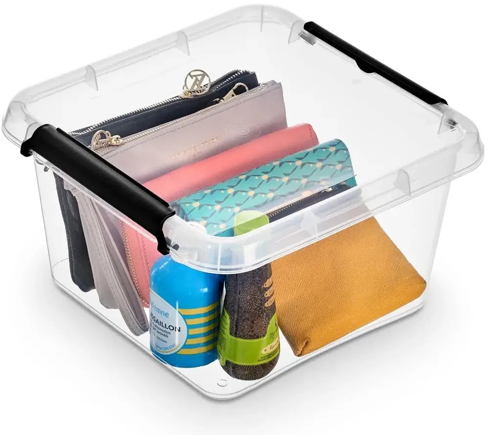 Úložný box s klipsami a vekom, CLEVER, 39x39x16,5 cm, 18 l