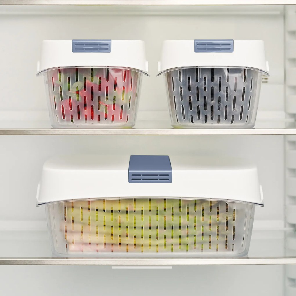 Rotho Špeciálny box na ovocie a zeleninu, s ventiláciou a filtrom, do chladničky, Fridge Fresh, 6,4 l - modrý