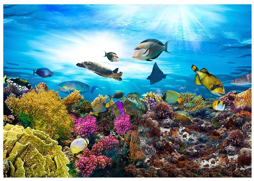 Samolepiaca fototapeta - Koralový útes 147x105