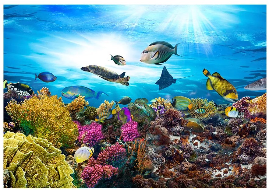 Samolepiaca fototapeta - Koralový útes 196x140
