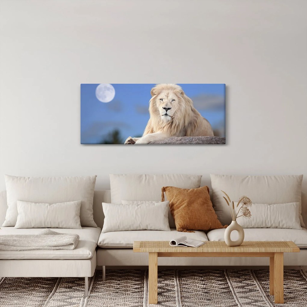 Obraz - Biely lev (120x50 cm)