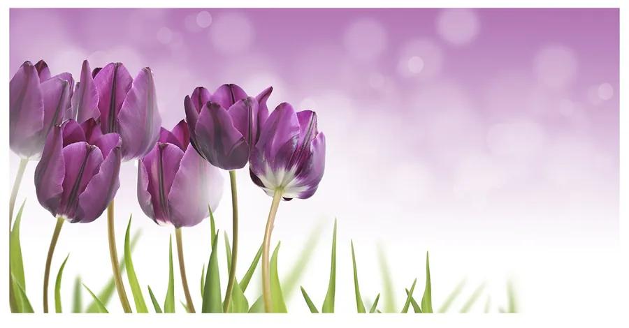 Foto obraz akrylový Fialové tulipány pl-oa-140x70-f-52340543