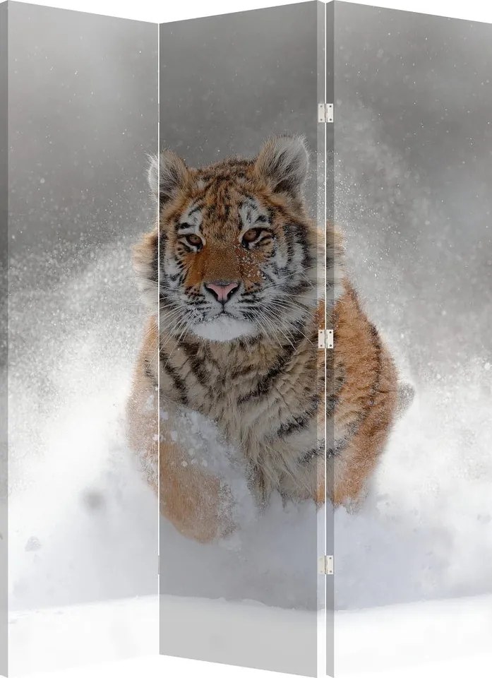 Paraván - Bežiaci tiger v snehu (126x170 cm)