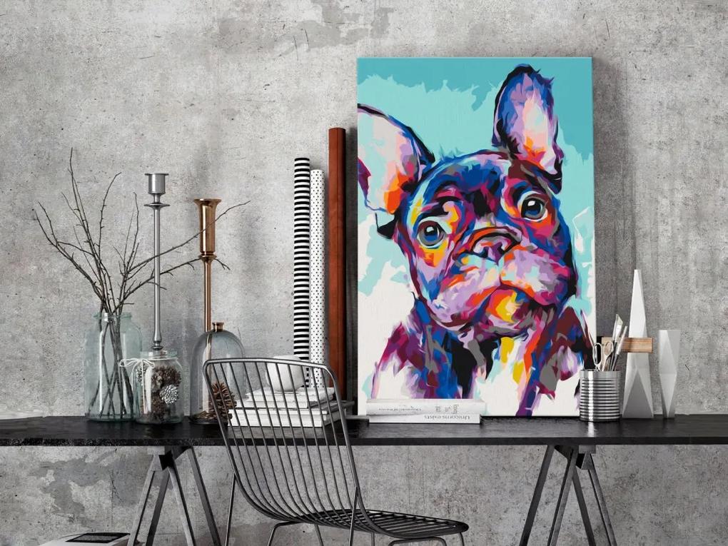 Obraz - maľovaný podľa čísel Bulldog Portrait