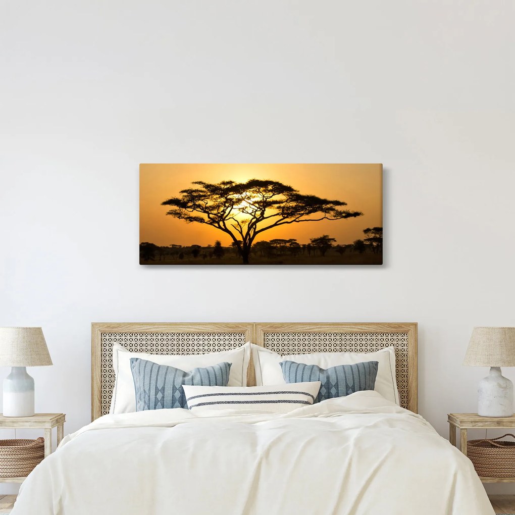 Obraz - Africká savana (120x50 cm)