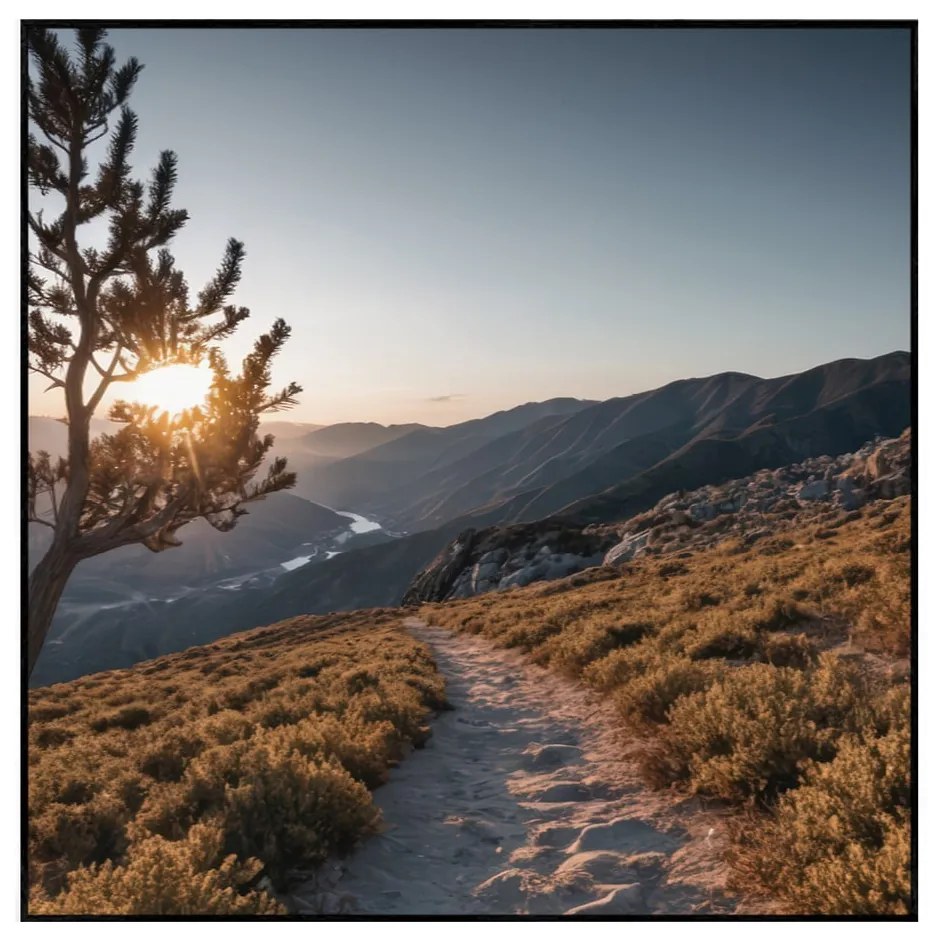Obraz 50x50 cm Mountain Path